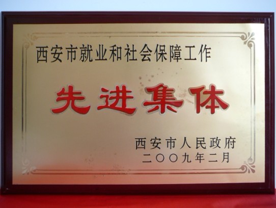2009年2月，被西安市政府評為西安市就業(yè)和社會保障工作先進集體